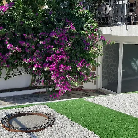 Colina - Penzion Braga