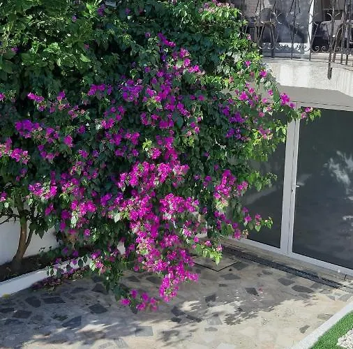 Affittacamere Colina -