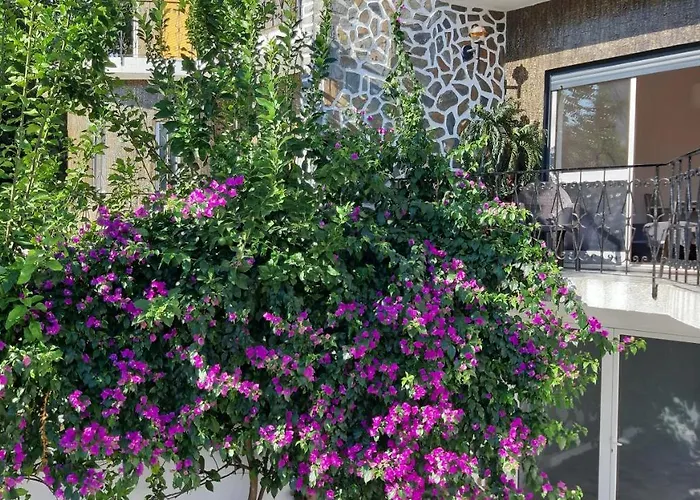 Gasthuis Colina - 3*